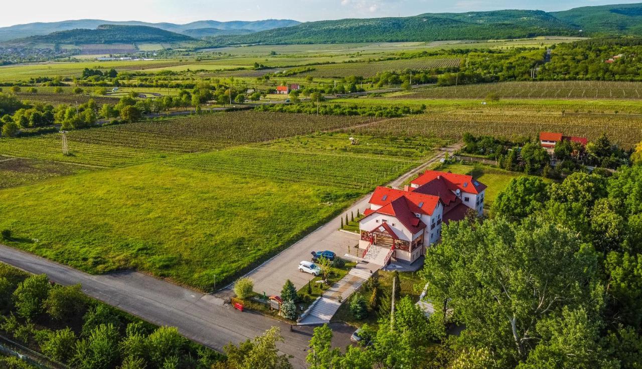 Borhotel Sziluett Farkasmaly Дьёндьёш Экстерьер фото