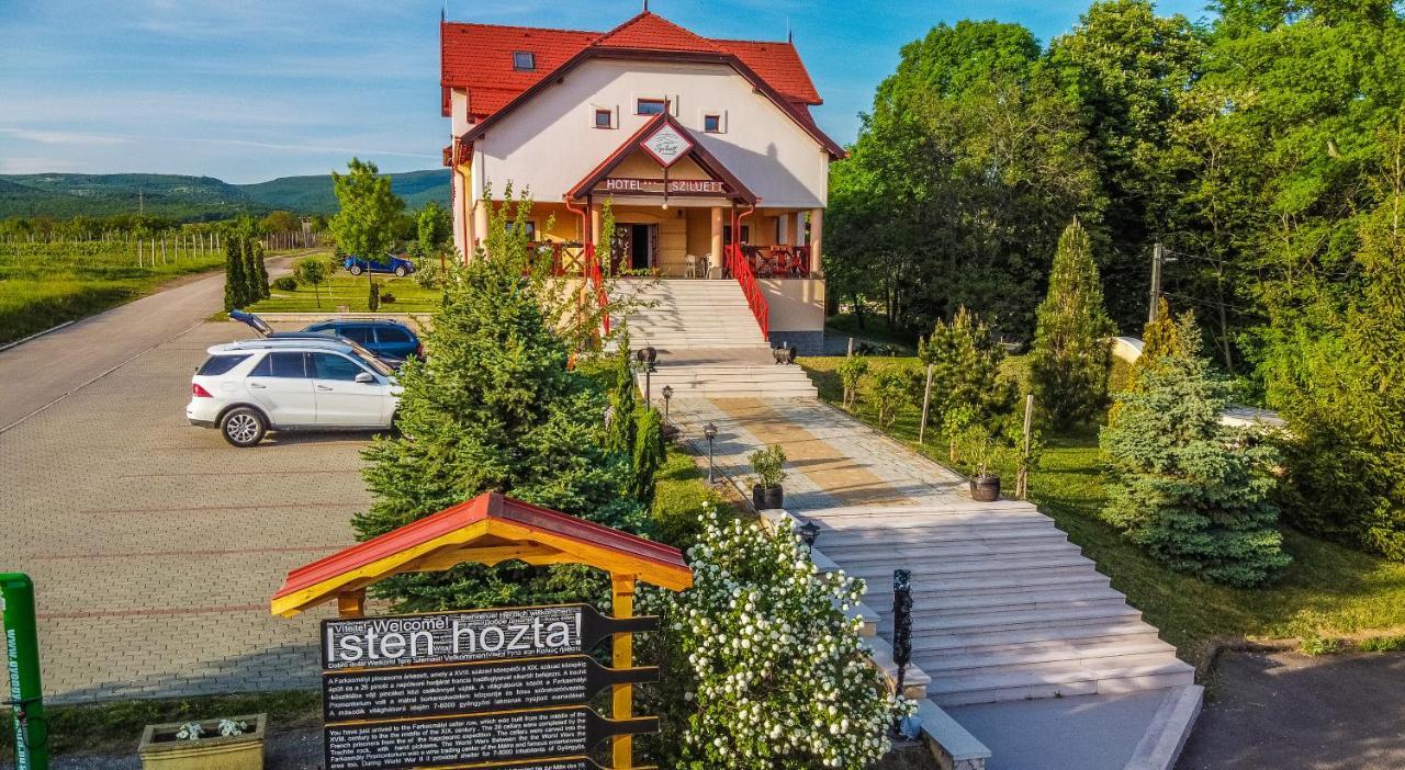 Borhotel Sziluett Farkasmaly Дьёндьёш Экстерьер фото